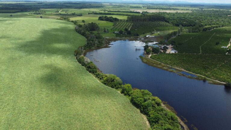 Plantação de cana-de-açúcar no Brasil associada à produção de biocombustíveis sustentáveis
