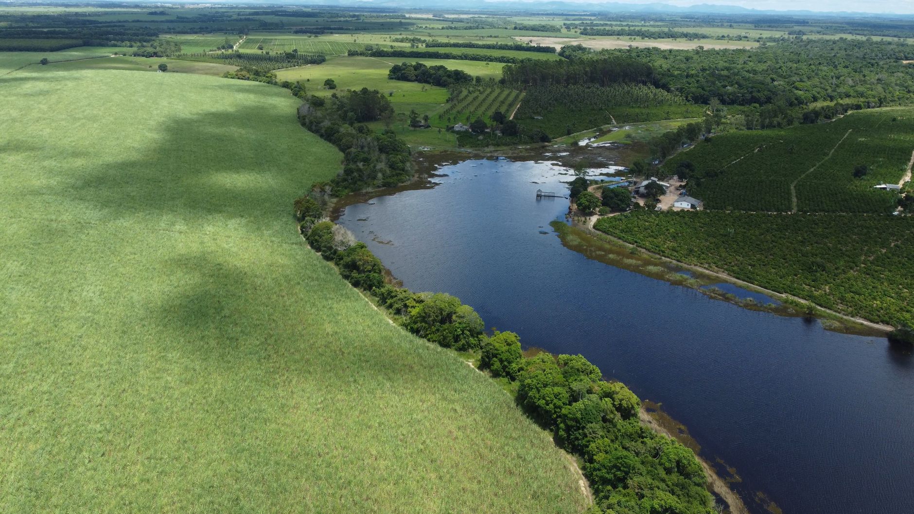 Plantação de cana-de-açúcar no Brasil associada à produção de biocombustíveis sustentáveis