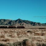 Trem de carga em ferrovia brasileira simbolizando o plano de reativação de malhas logísticas