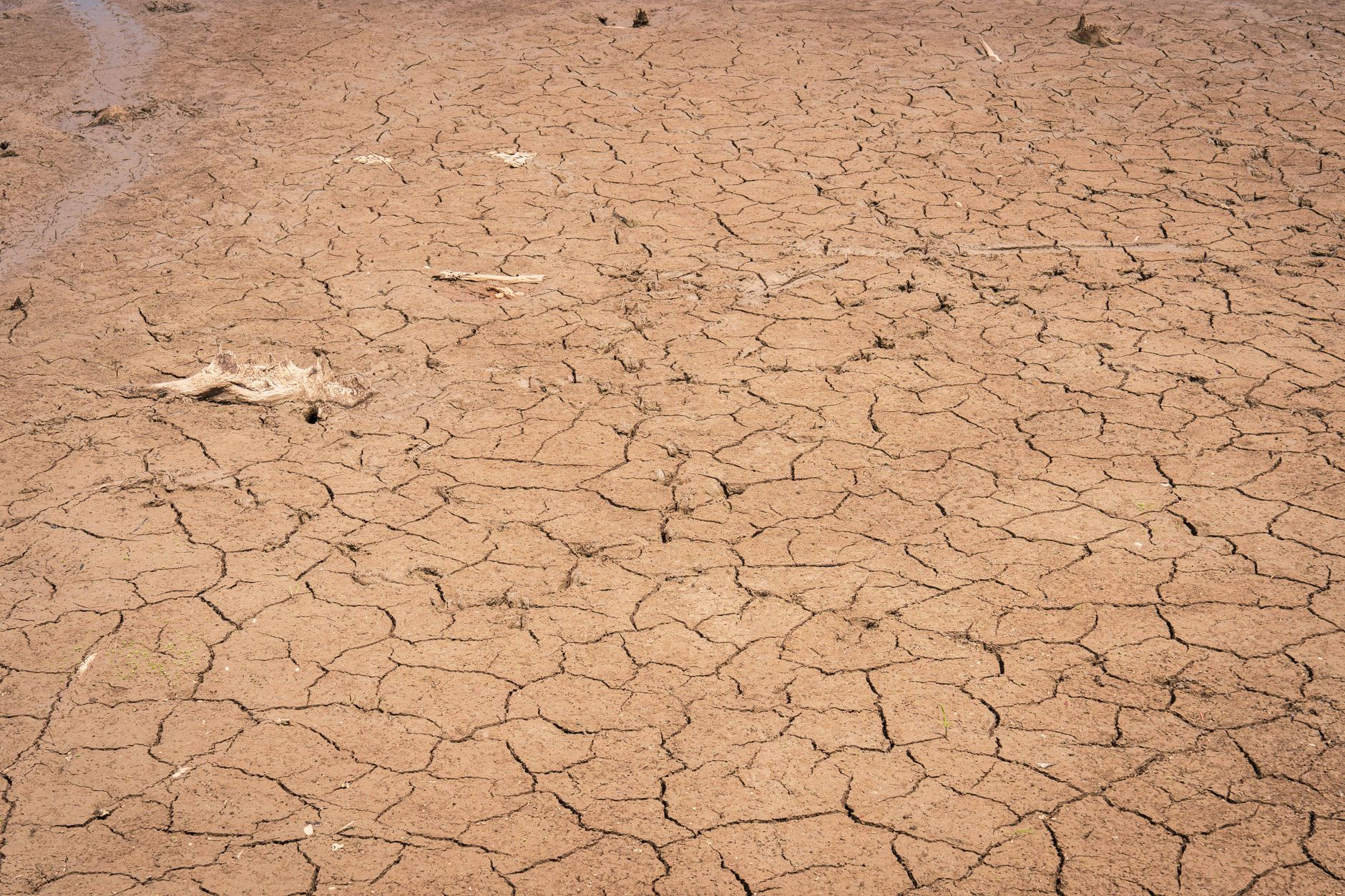 Monitoramento climático e radares meteorológicos no Brasil